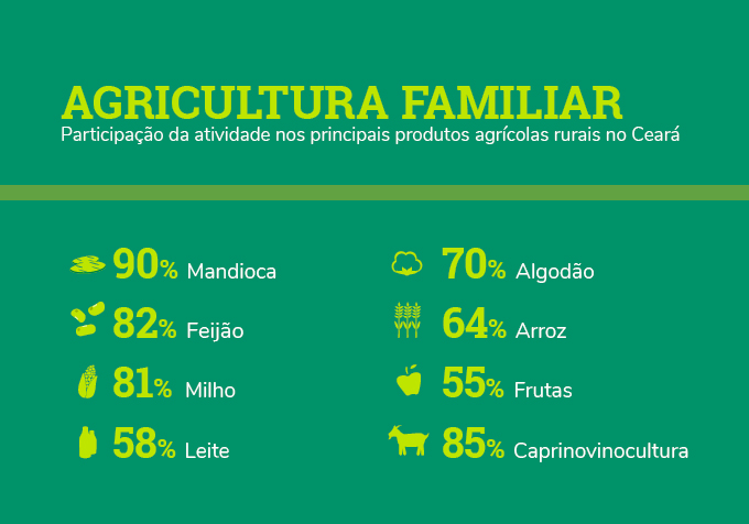 AGRICULTURA FAMILIAR - Participação da atividade nos principais produtos agrícolas rurais no Ceará. Mandioca: 90%, Feijão: 82%, Milho: 81%, Leite: 58%, Algodão: 70%, Arroz: 64%, Frutas: 55%, Caprinovinocultura: 85%.